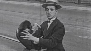 The Lucky Dog
