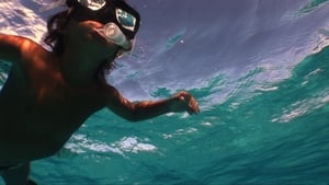 To the Sea