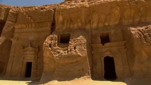 Wild Arabia