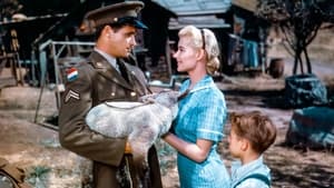 Peyton Place