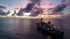 Expedition Amelia