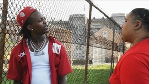 Young Steppas 2