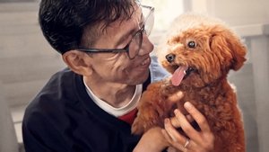 Pets