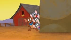 Tom and Jerry Cowboy Up!