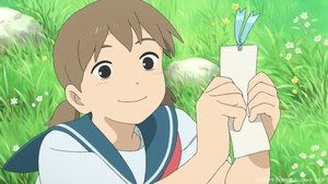 Cocoon: Aru Natsu no Shoujo-tachi yori