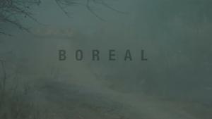 Boreal