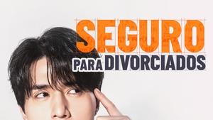 The Divorce Insurance