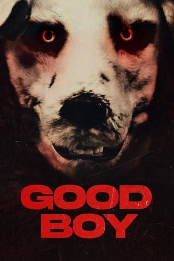 دانلود فیلم Good Boy 2022