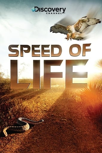 دانلود سریال Speed of Life 2010